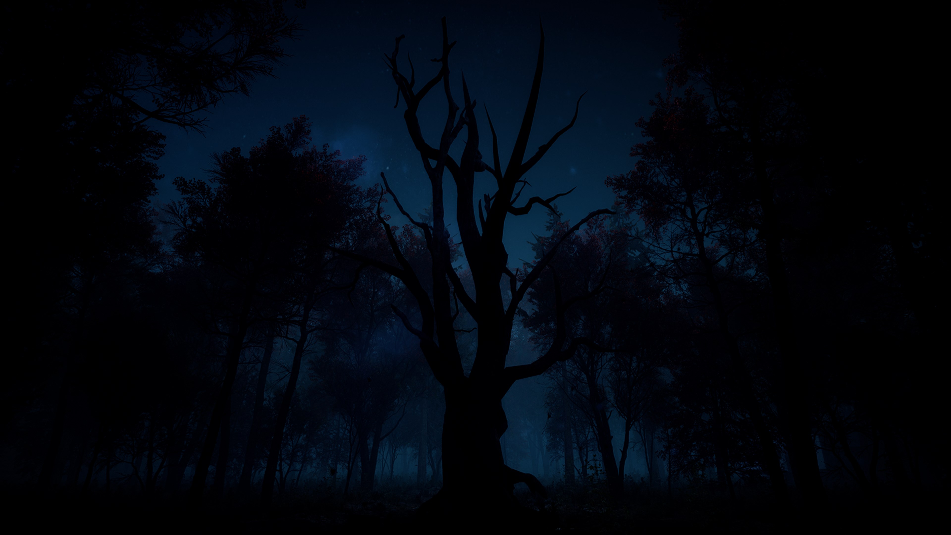 Slender: The Arrival screenshot 59742