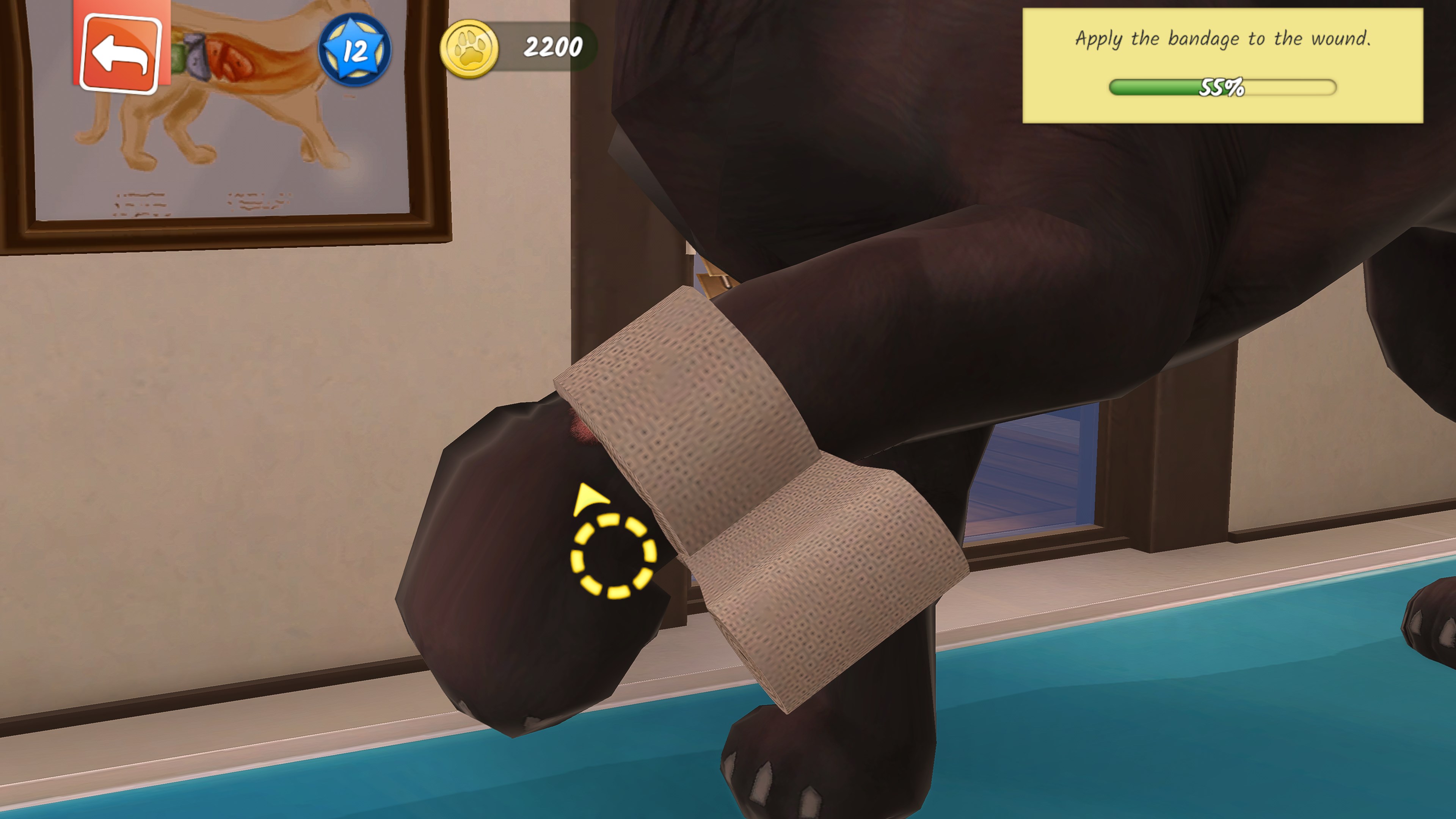 Animal Hospital screenshot 61584