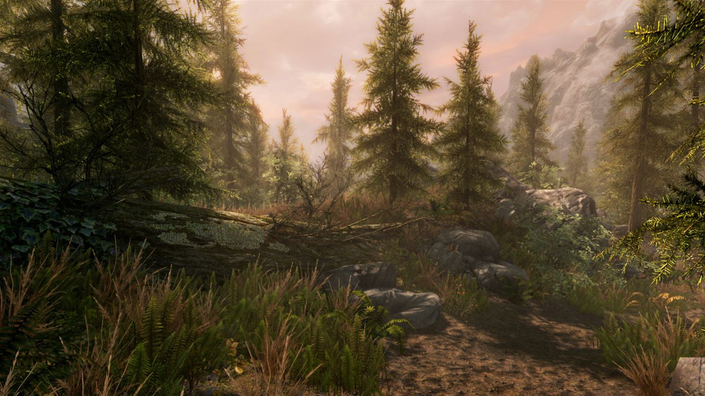 The Elder Scrolls V: Skyrim - Special Edition screenshot 8284