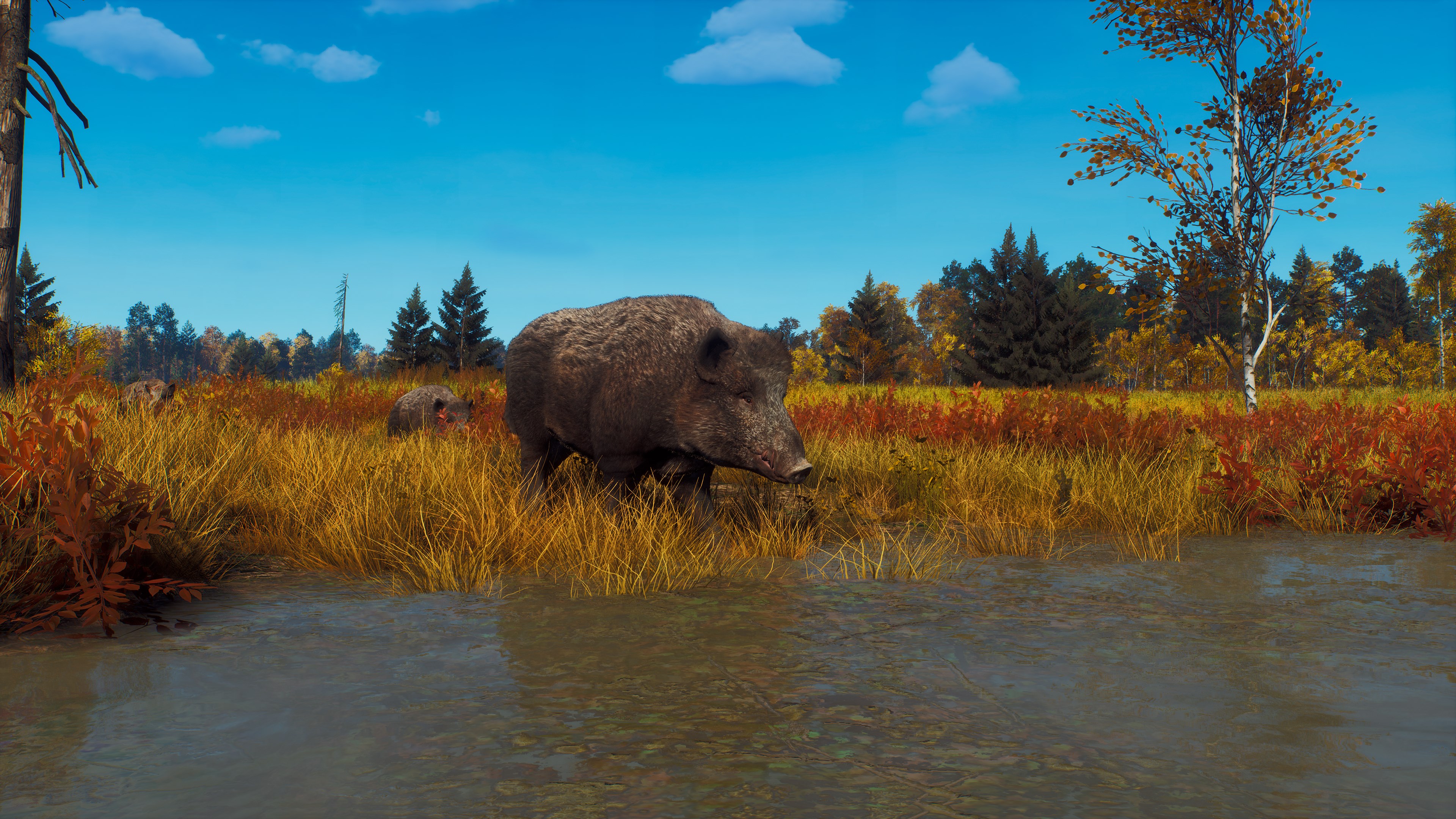 Way of the Hunter - Lintukoto Reserve screenshot 70660