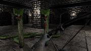 Crypt of the Serpent King screenshot 9073