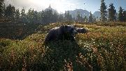 theHunter: Call of the Wild screenshot 11996