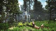 Black Desert screenshot 16499