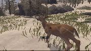 Deer Hunter Reloaded