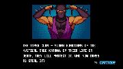 Ninja Shodown screenshot 12907