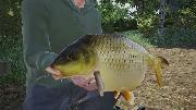 Fishing Sim World: Giant Carp Pack screenshot 26733