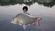 Fishing Sim World: Giant Carp Pack Screenshot