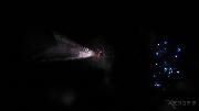 Xenosis: Alien Infection screenshot 21648