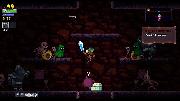 Rogue Legacy screenshot 3341