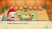 STORY OF SEASONS: Friends of Mineral Town Screenshot