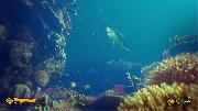 Deep Diving Adventures Screenshots & Wallpapers