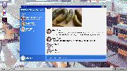 Salamander County Public Television Screenshot
