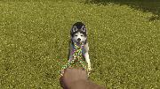 House Flipper: Pets Screenshot