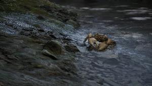 METAL GEAR SOLID: SNAKE EATER screenshot 68686