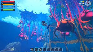 Critter Cove