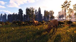 Windstorm: Start of a Great Friendship - Remastered