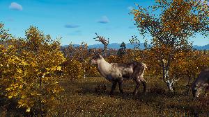 Way of the Hunter - Lintukoto Reserve screenshots