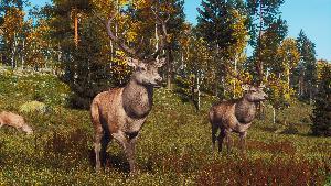 Way of the Hunter - Lintukoto Reserve Screenshot