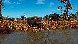 Way of the Hunter - Lintukoto Reserve Screenshot