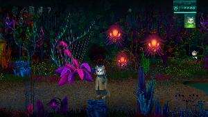 Cat's Request Screenshot