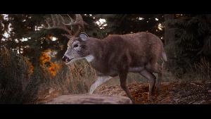 Hunting Simulator 3 screenshot 72443