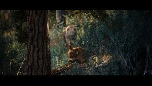 Hunting Simulator 3 screenshot 72445