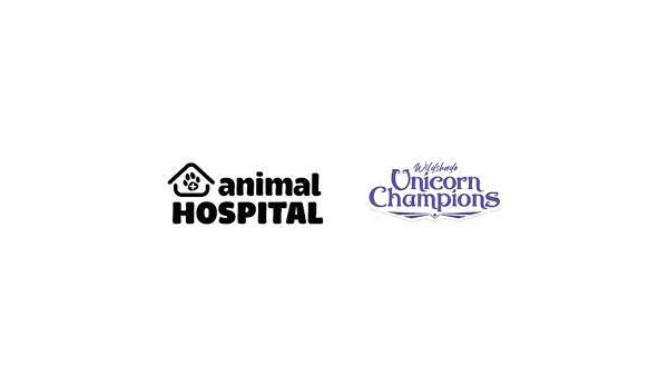 Animal Hospital and Wildshade: Unicorn Champions: Two Cute Animal Games from NACON Coming to Consoles in 2023!